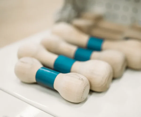 Classic Chew Bone Toy