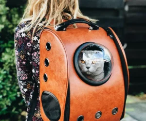 Space Capsule Pet Carrier