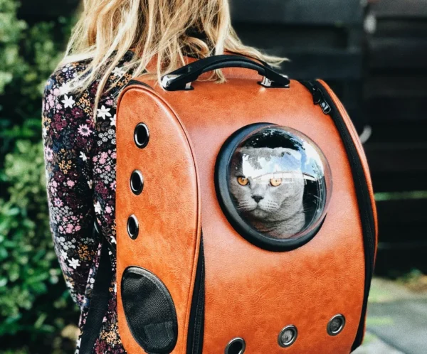 Space Capsule Pet Carrier